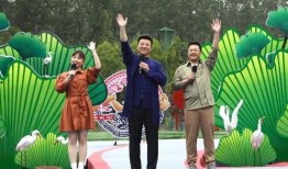 天津海鸥爆料视频最新消息,揭秘神秘项目进展与幕后故事