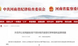 许昌热点爆料新闻最新,考古新发现引专家热议