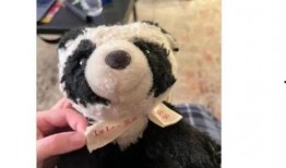 乐乐熊猫最新爆料消息,最新爆料带你探秘娱乐圈风云