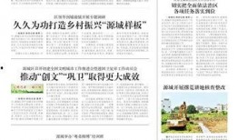 河源日报最新爆料,揭秘河源重大事件背后真相