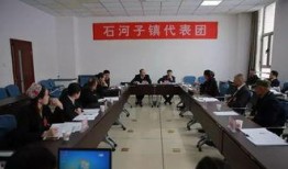 石河子最新爆料,揭秘这座新疆城市的蜕变与未来